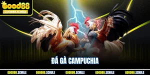 Đá Gà Campuchia | Màn Chọi Kê Good88 Đẳng Cấp Châu Á 2025
