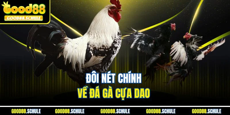 Đôi nét chính về đá gà cựa dao