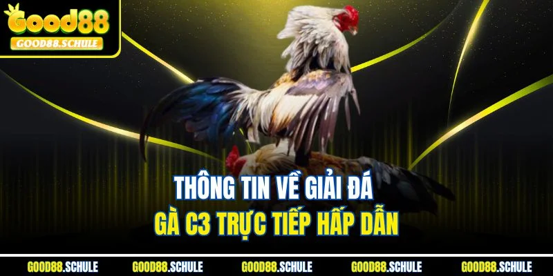 Thông tin về giải đá gà C3 trực tiếp hấp dẫn