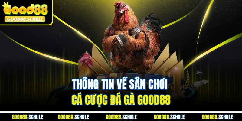 Thông tin về sân chơi cá cược đá gà Good88