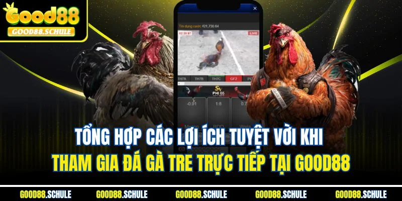 Tổng hợp các lợi ích tuyệt vời khi tham gia đá gà tre trực tiếp tại Good88